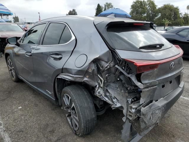 2019 Lexus UX 250H