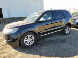 Salvage cars for sale at Portland, MI auction: 2019 Ford Explorer XLT