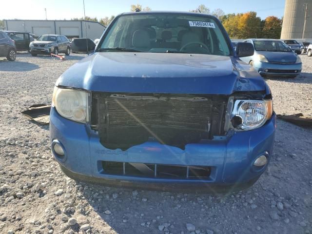 2011 Ford Escape XLT