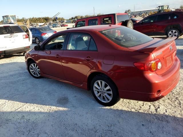 2010 Toyota Corolla Base