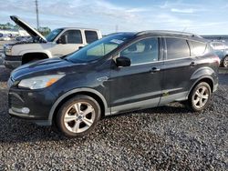 Salvage cars for sale at Riverview, FL auction: 2014 Ford Escape SE