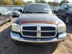 2005 Dodge Dakota Quad SLT