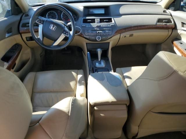 2009 Honda Accord EXL