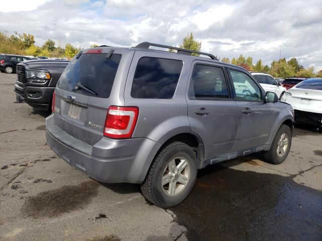 2008 Ford Escape HEV