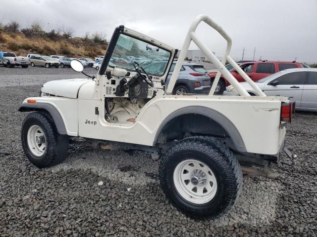 1981 Jeep Jeep CJ5