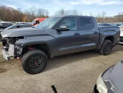 Salvage cars for sale at Marlboro, NY auction: 2024 Toyota Tundra Crewmax Limited