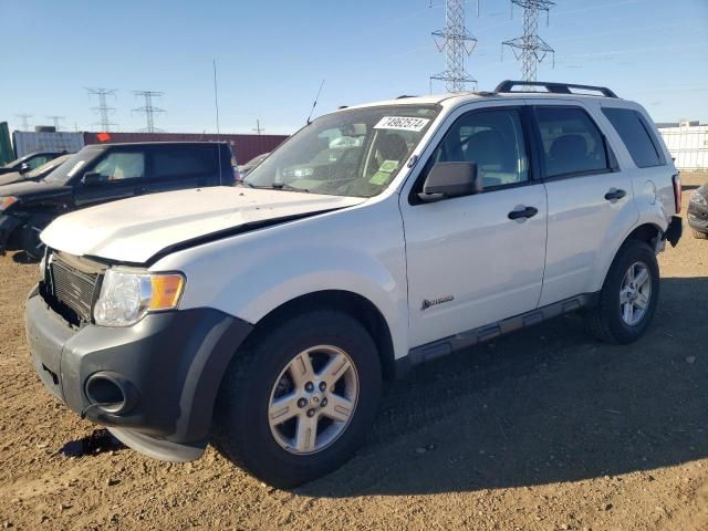 2009 Ford Escape Hybrid