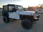 1990 Jeep Wrangler / YJ