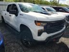 2024 Chevrolet Silverado K1500 Trail Boss Custom