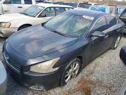 Nissan salvage cars for sale: 2009 Nissan Maxima S