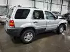 2004 Ford Escape XLT