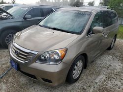 Flood-damaged cars for sale at auction: 2009 Honda Odyssey EXL