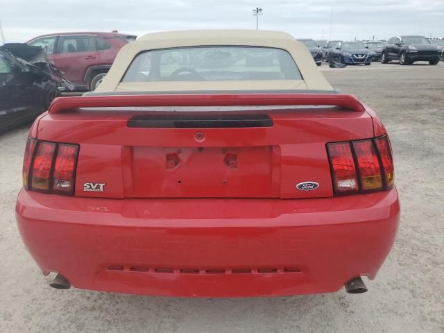 1999 Ford Mustang Cobra SVT