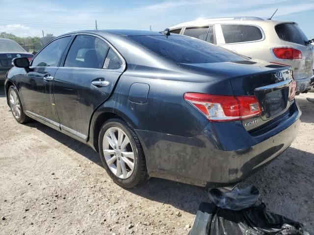 2010 Lexus ES 350