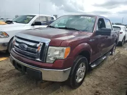 2010 Ford F150 Supercrew en venta en Riverview, FL