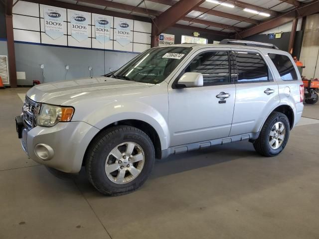 2010 Ford Escape Limited