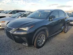 Flood-damaged cars for sale at auction: 2020 Lexus NX 300 Base