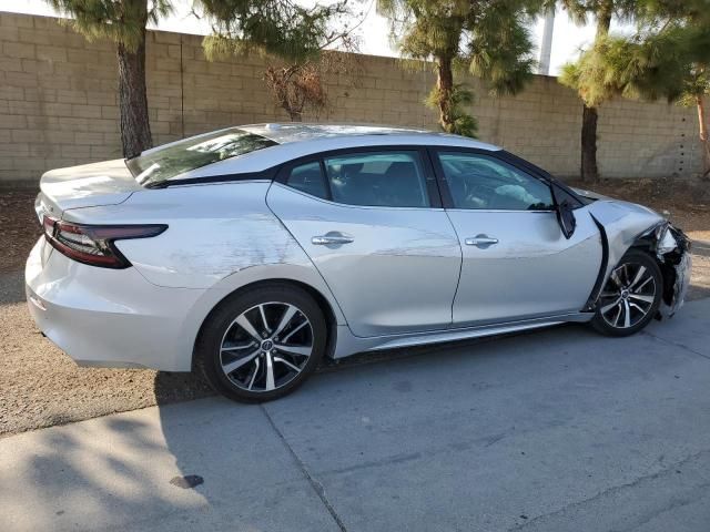 2023 Nissan Maxima SV