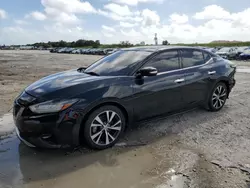 2017 Nissan Maxima 3.5S en venta en West Palm Beach, FL