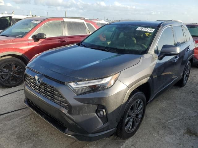 2024 Toyota Rav4 Limited