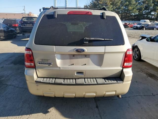 2010 Ford Escape XLT