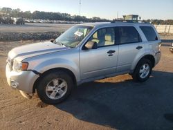 Salvage cars for sale at Dunn, NC auction: 2009 Ford Escape XLT