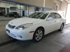 2005 Lexus ES 330