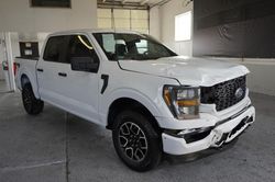 Salvage cars for sale at Farr West, UT auction: 2023 Ford F150 Supercrew