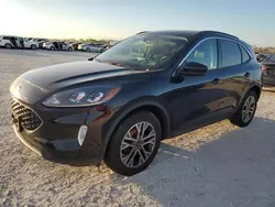 Salvage cars for sale at Riverview, FL auction: 2022 Ford Escape SEL