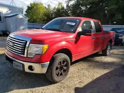 Ford salvage cars for sale: 2010 Ford F150 Supercrew