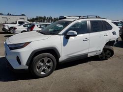 Salvage Cars with No Bids Yet For Sale at auction: 2024 Toyota Rav4 XLE