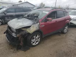 Ford Escape Vehiculos salvage en venta: 2013 Ford Escape SEL