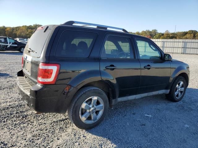 2010 Ford Escape Limited