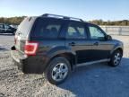 2010 Ford Escape Limited