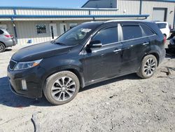 Salvage cars for sale at Earlington, KY auction: 2014 KIA Sorento SX