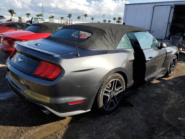 2019 Ford Mustang