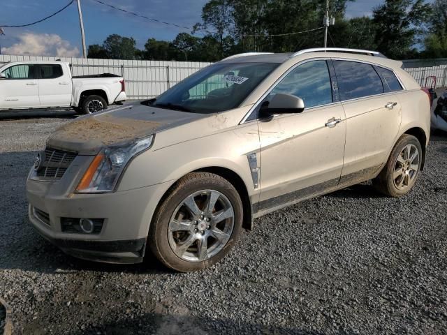 2010 Cadillac SRX Performance Collection