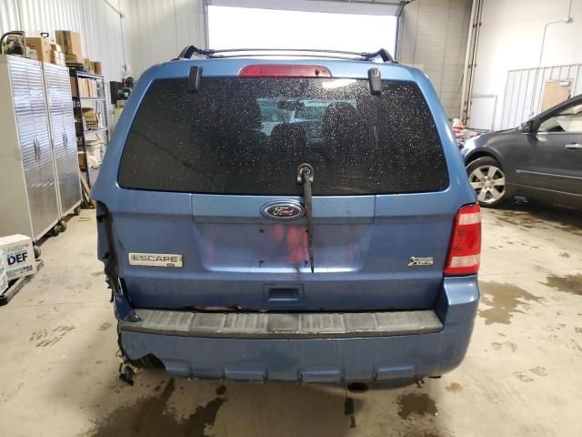 2010 Ford Escape XLT