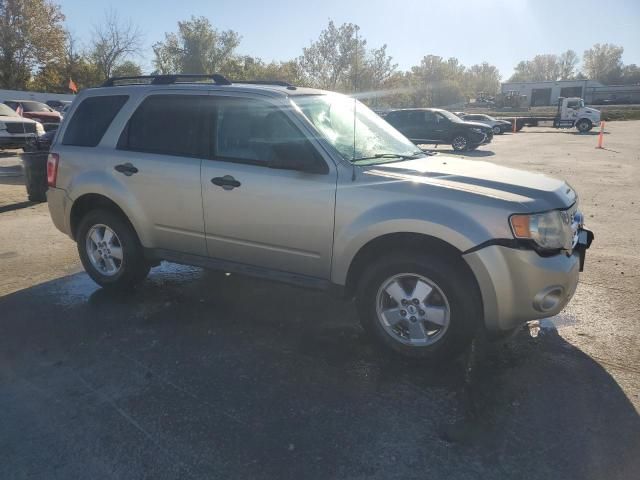 2010 Ford Escape XLT