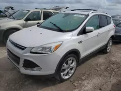 Ford Escape salvage cars for sale: 2014 Ford Escape Titanium