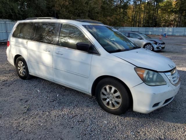 2008 Honda Odyssey EXL