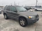 2006 Ford Escape HEV