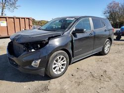 Salvage cars for sale at Baltimore, MD auction: 2020 Chevrolet Equinox LS