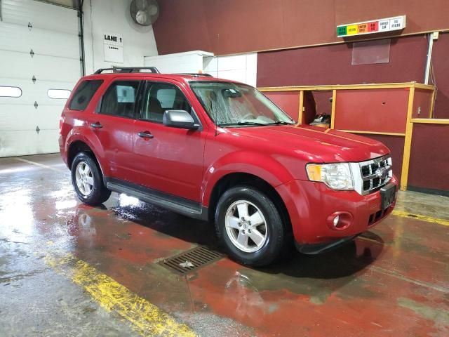 2009 Ford Escape XLT