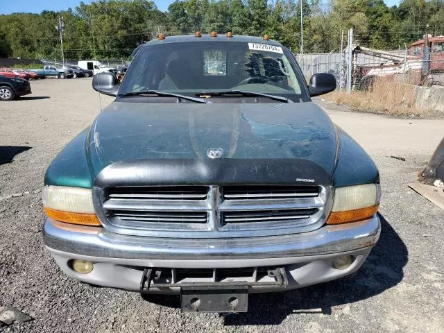 2003 Dodge Dakota SLT