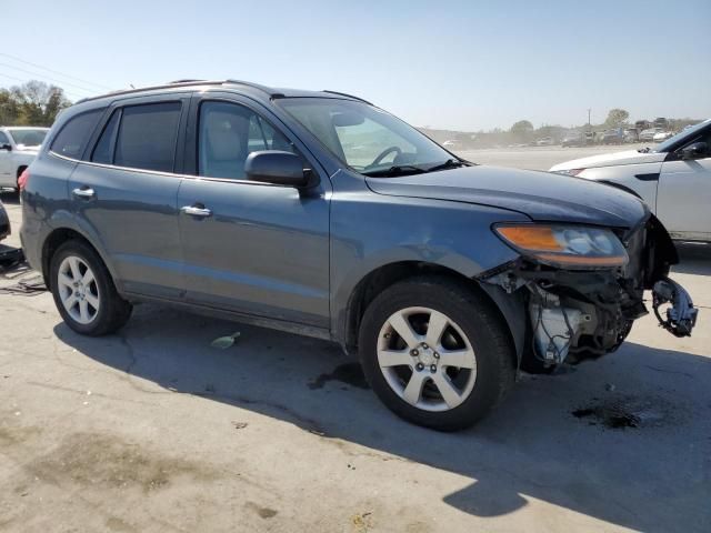 2009 Hyundai Santa FE SE