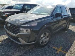 Salvage cars for sale at Riverview, FL auction: 2023 Hyundai Santa FE SEL