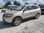 2007 Hyundai Santa FE SE