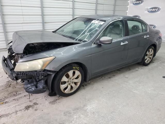 2010 Honda Accord EXL