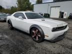 2013 Dodge Challenger SXT